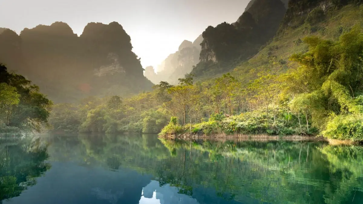 先进高质量可靠性